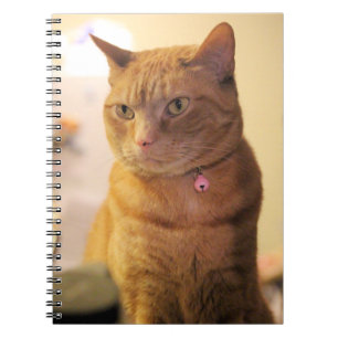 Cuaderno Bolsa de cadena de dibujo de gato