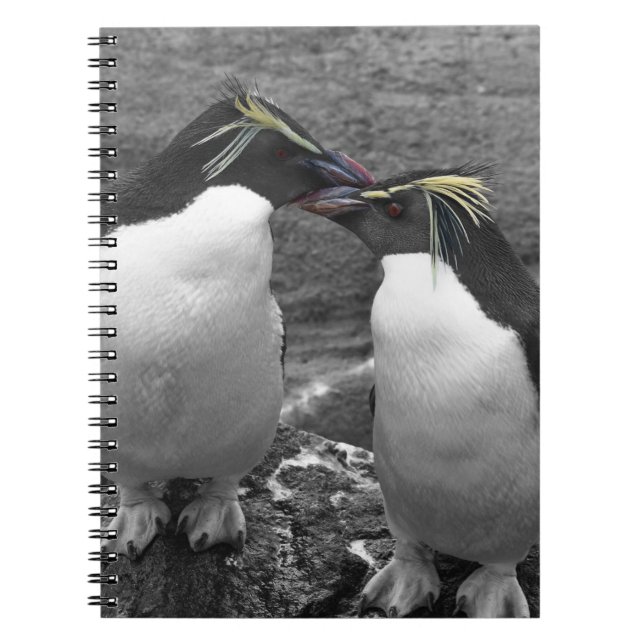 Cuaderno Bolsa de mano (Frente)