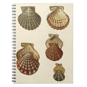 Cuaderno Bombas antiguas atascadas