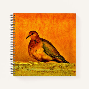 Cuaderno Bonita cocina