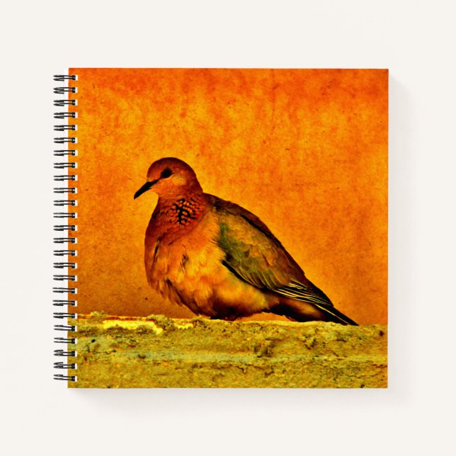 Cuaderno Bonita cocina (Anverso)