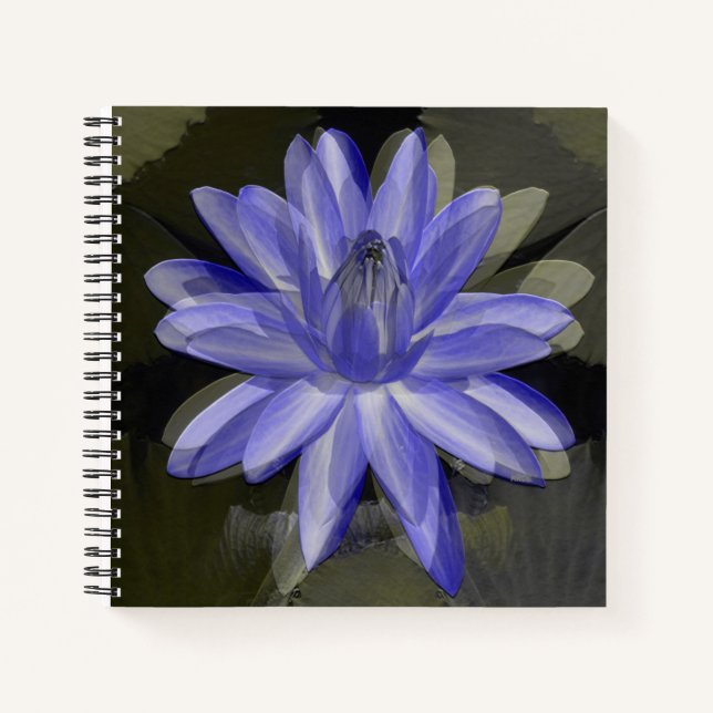 Cuaderno Bonita lirio azul..... (Anverso)