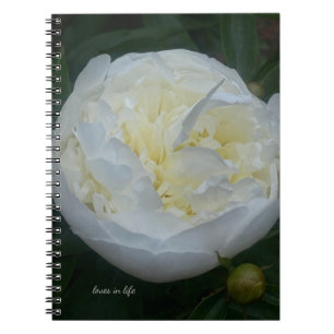 Cuaderno Bonita Peonia Blanca