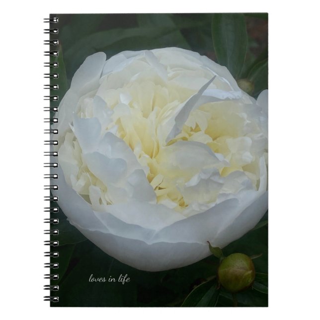 Cuaderno Bonita Peonia Blanca (Frente)