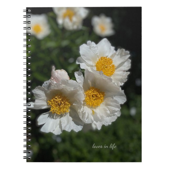 Cuaderno Bonitas Peonías Blancas (Frente)