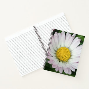 Cuaderno Bonito