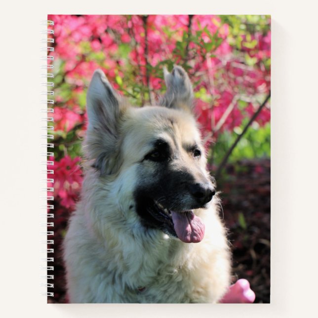Cuaderno Bonito (Anverso)
