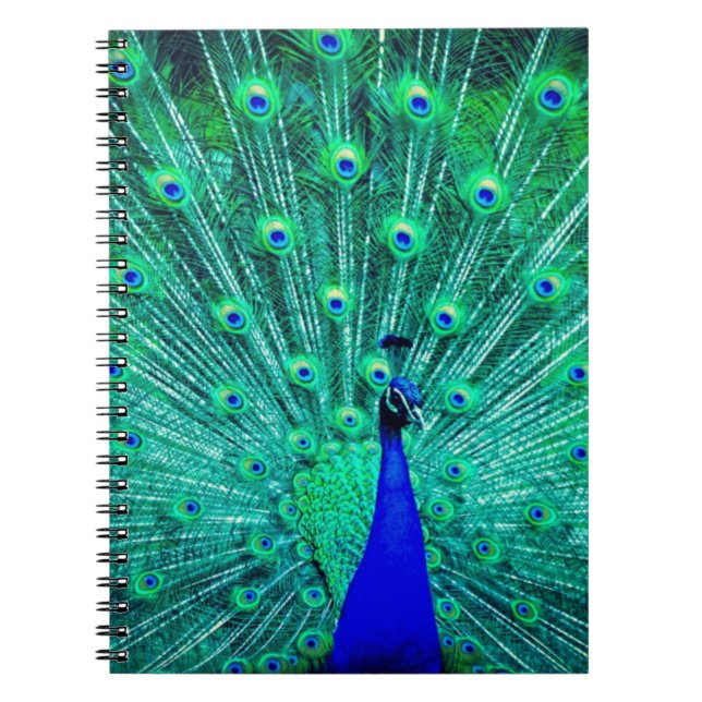 Cuaderno Bonito BlueTeal Peacock Pájaro moderno de moda (Frente)