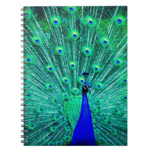 Cuaderno Bonito BlueTeal Peacock Patrón moderno de moda