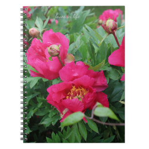 Cuaderno Bonito Bonito Peonies rosas