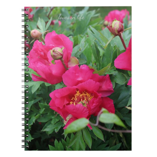 Cuaderno Bonito Bonito Peonies rosas (Frente)