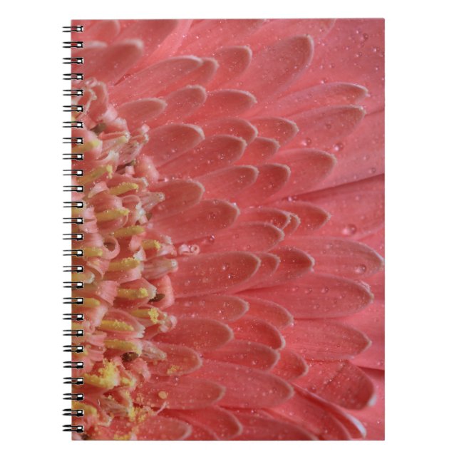 Cuaderno Bonito Coral Pink Gerbera Daisy (Frente)