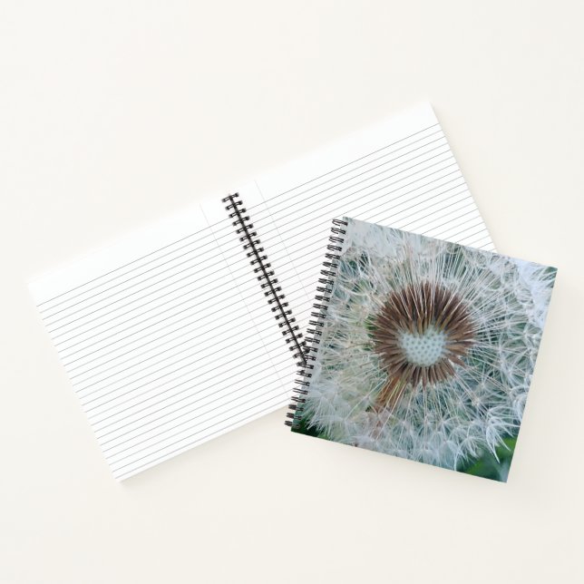 Cuaderno Bonito Dandelion blanco (Interior)