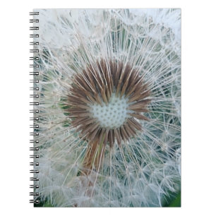 Cuaderno Bonito Dandelion blanco