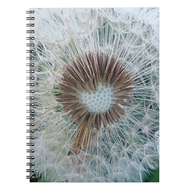Cuaderno Bonito Dandelion blanco (Frente)