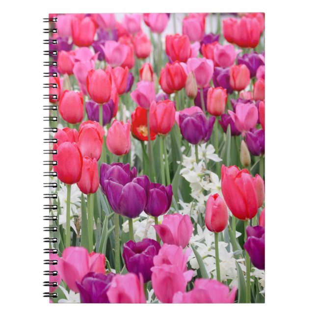 Cuaderno Bonito en Petales rosados (Frente)