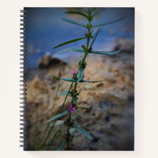 Cuaderno Bonito en un bloc de notas morado gobernado por un