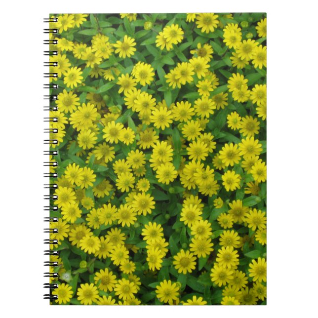 Cuaderno Bonito Flores Amarillas Pequeñas (Frente)