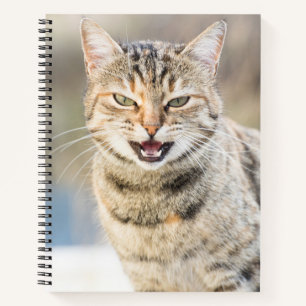 Cuaderno Bonito gato