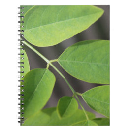 Cuaderno Bonito hojas de árbol de ceniza verde fresco de ve