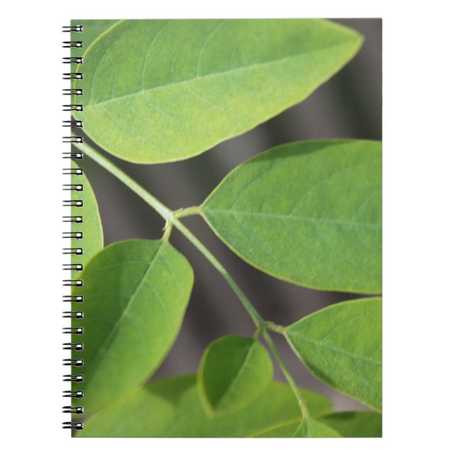 Cuaderno Bonito hojas de árbol de ceniza verde fresco de ve (Frente)
