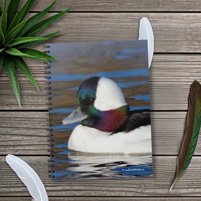 Cuaderno Bonito pato de cabeza de buey en el estanque de in (Handsome Bufflehead Duck in the Pond Journal Cover Photo)