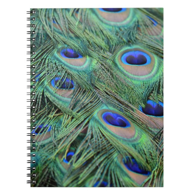 Cuaderno Bonito Peacock Feathers (Frente)
