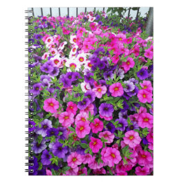 Cuaderno Bonito Petunias