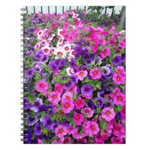 Cuaderno Bonito Petunias