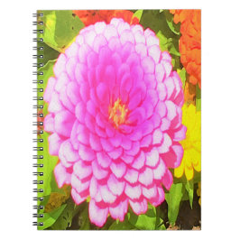 Cuaderno Bonito redonda de zinnia rosa en el jardín de vera