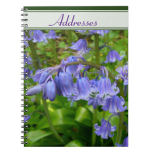 Cuaderno Bonnie Bluebell
