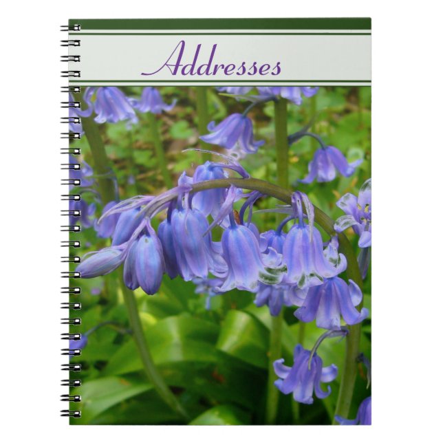 Cuaderno Bonnie Bluebell (Frente)