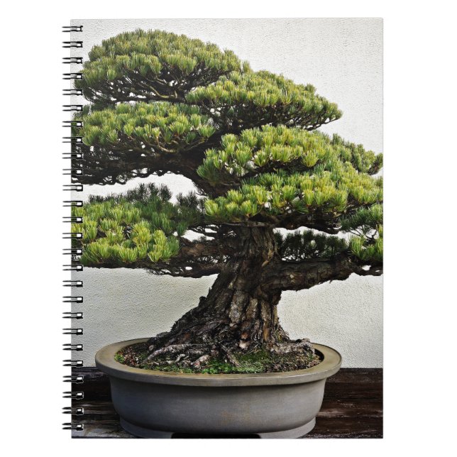 Cuaderno Bonsais de White Pine del japonés (Frente)