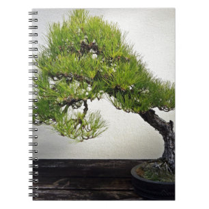 Cuaderno Bonsais japoneses del pino negro