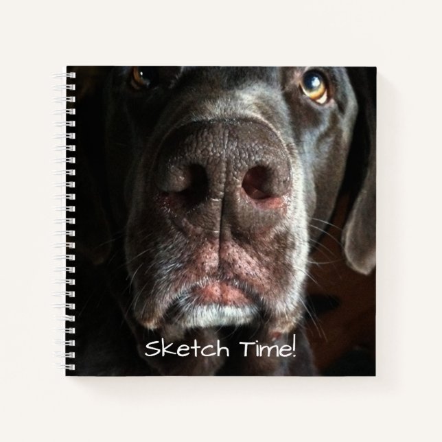 Cuaderno Boop My Nose Labrador Retriever Close-Up Photo (Anverso)