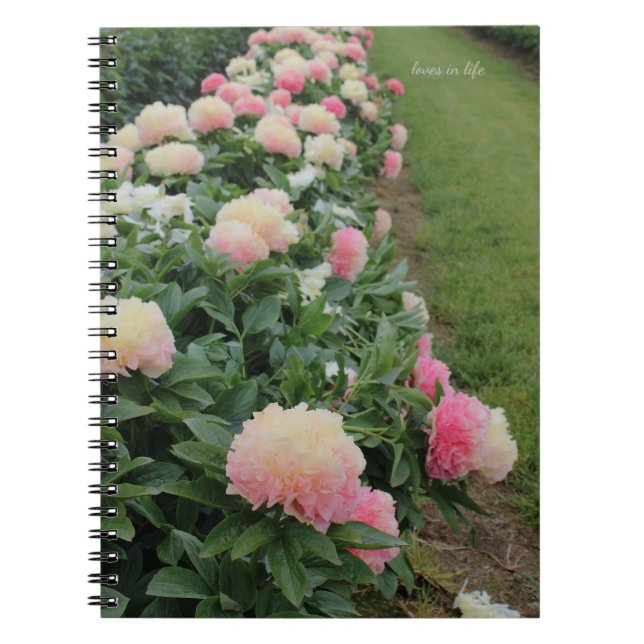 Cuaderno Borde de peones rosados (Frente)