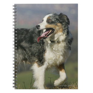 Cuaderno Border collie que jadea 2