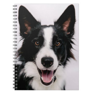 Cuaderno Border collie sonriente de las imágenes el A de