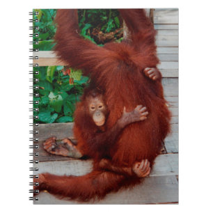 Cuaderno Borneo orangutan
