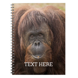 Cuaderno Borneo Orangutan Beautiful Photography