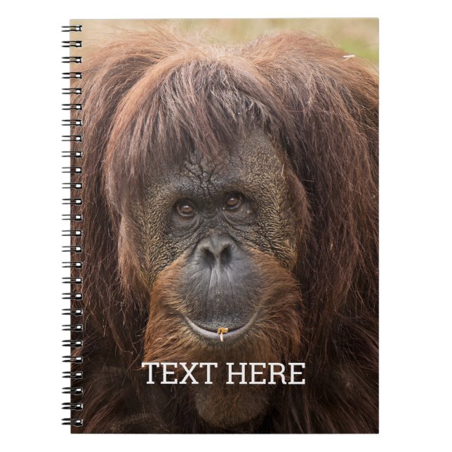 Cuaderno Borneo Orangutan Beautiful Photography (Frente)