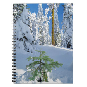 Cuaderno Bosque Cubierto de Nieve en Oregon