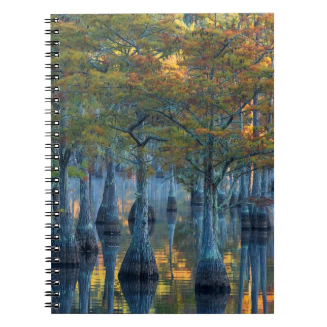 Cuaderno Bosque de árboles cipreses de estanques (Frente)