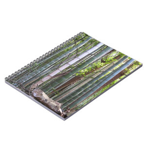Cuaderno Bosque de Bambú Gigante Japonés, Sagano, Kyoto, Ja