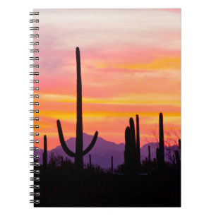 Cuaderno Bosque de cactus saguaro al atardecer