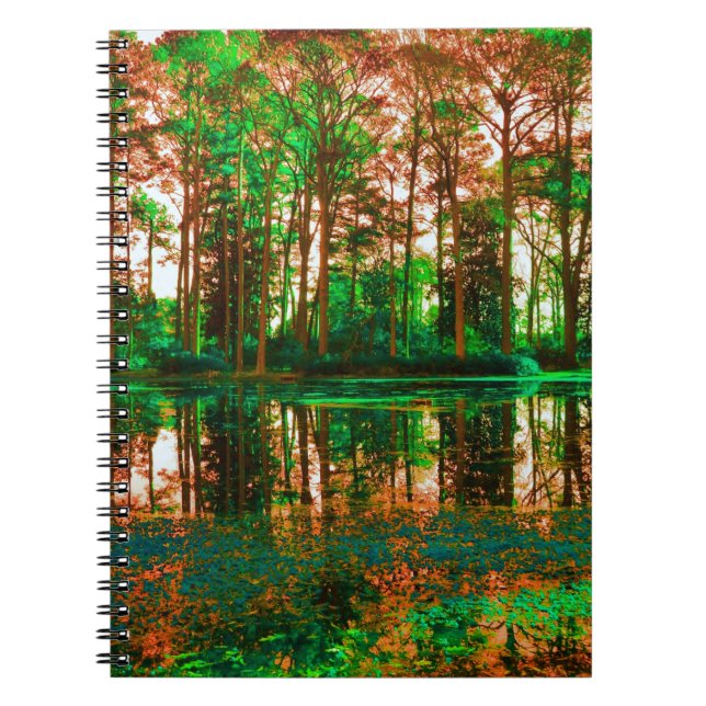 Cuaderno Bosque de fantasía de Shirley Taylor (Frente)
