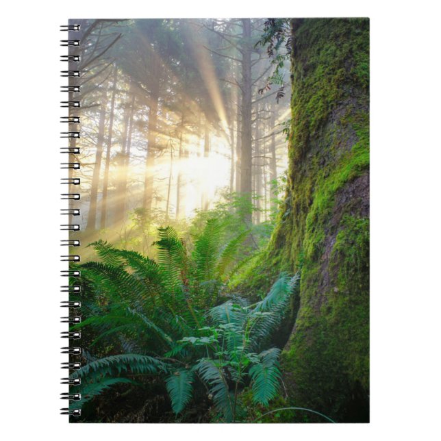 Cuaderno Bosque de la Costa Pacífica, Oregón (Frente)