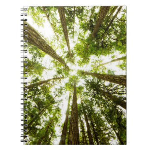 Cuaderno Bosque de lluvias verdes