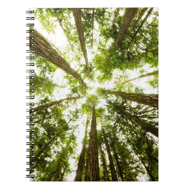 Cuaderno Bosque de lluvias verdes (Frente)