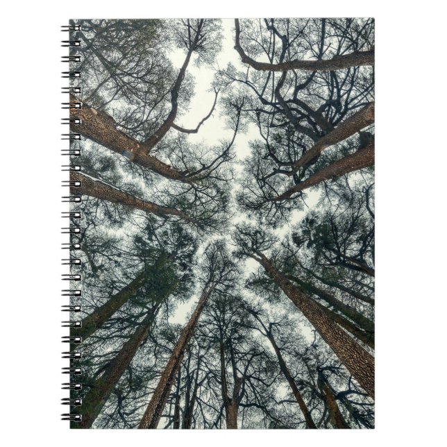 Cuaderno Bosque de los Cedros Fondo natural del Líbano (Frente)